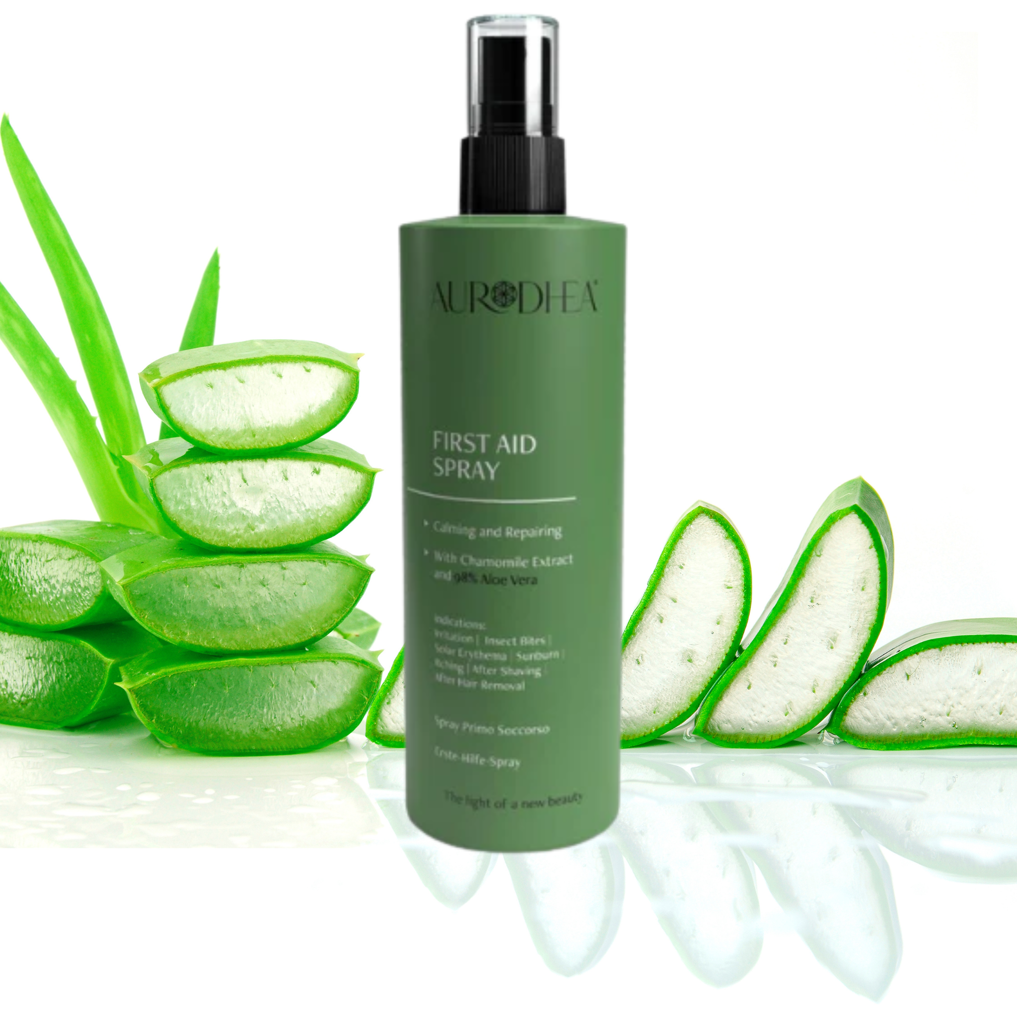 The Travel Essential Kit – 7 Must-Haves für Reisen | Natürliche Apotheke